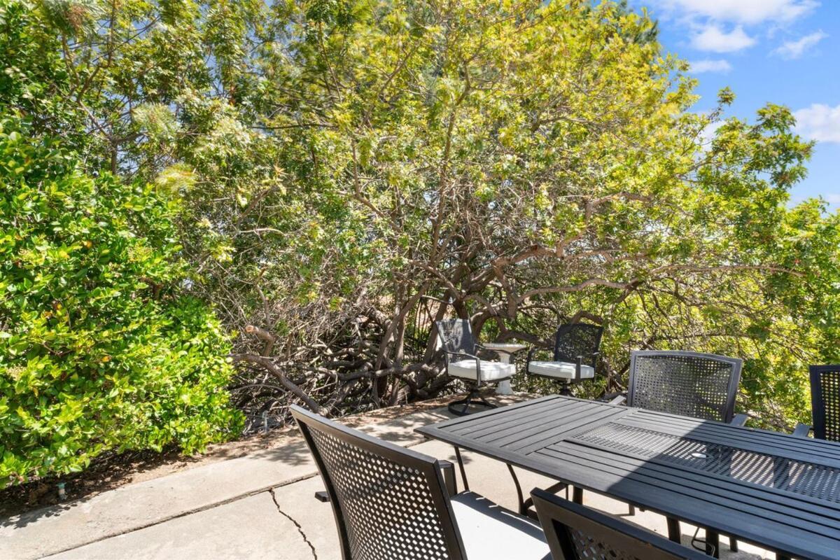 In San Diego! The Blue Leaf With 3bed 2bath, Golf, Large Yard! *